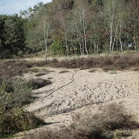 Holiday home Lindenhof & Garderen