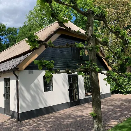 Lindenhof &