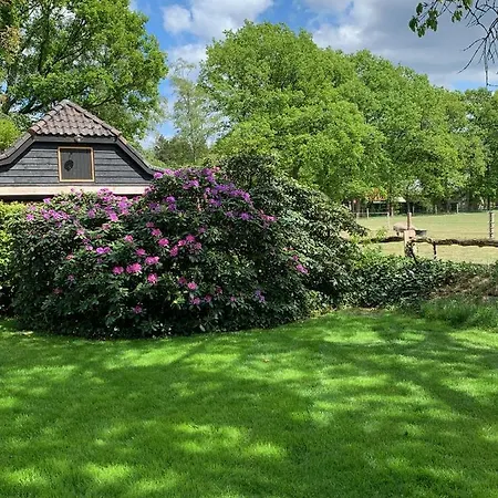 Holiday home Lindenhof & Garderen