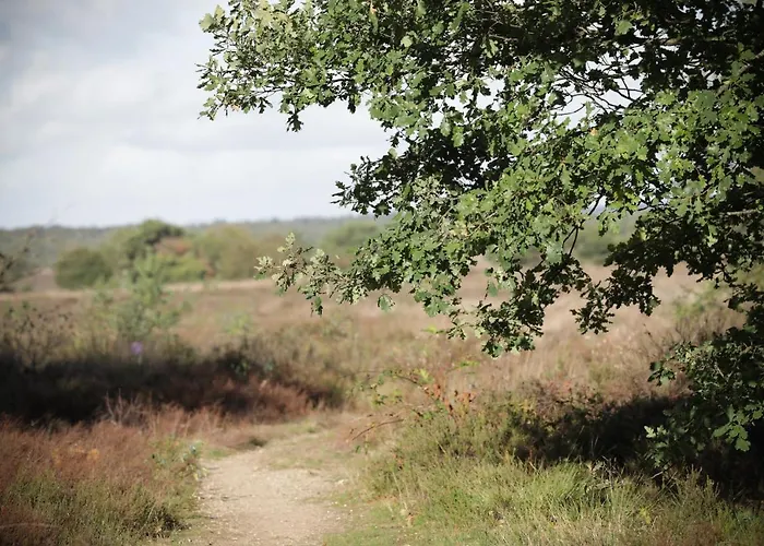 Dom wakacyjny Lindenhof & *