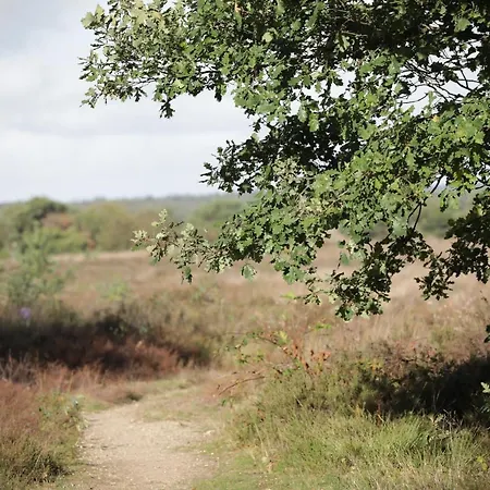 펜션 Lindenhof & *