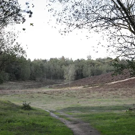 Lindenhof & * 가드렌