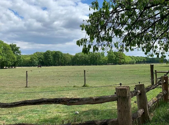 Lindenhof & Casa vacanze Garderen