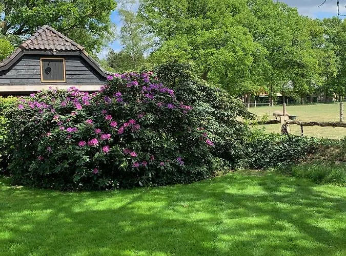 Casa vacanze Lindenhof & Garderen